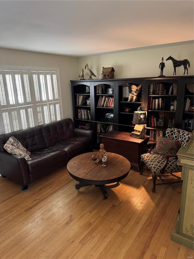 living room featuring light hardwood / wood-style flooring