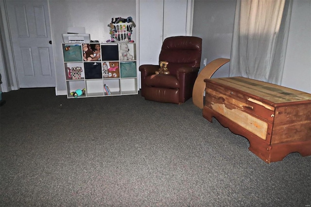 living area with dark colored carpet