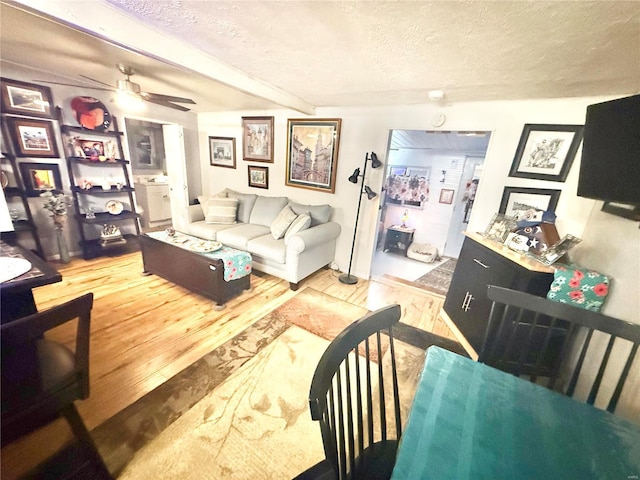 living room with ceiling fan, wood-type flooring, and a textured ceiling