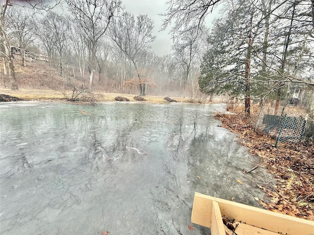 view of water feature