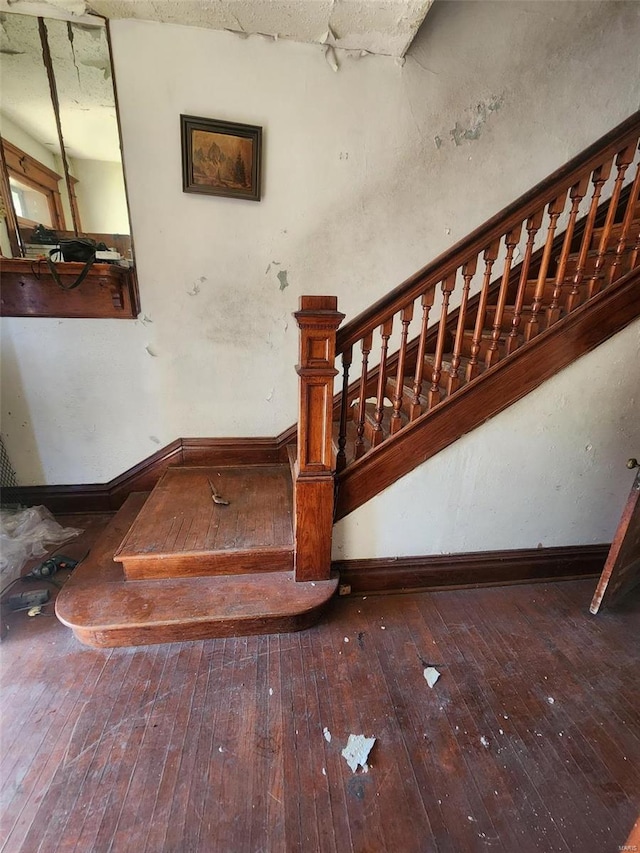 staircase with hardwood / wood-style floors