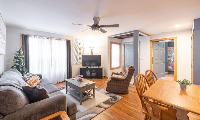 living room with ceiling fan and light wood-type flooring