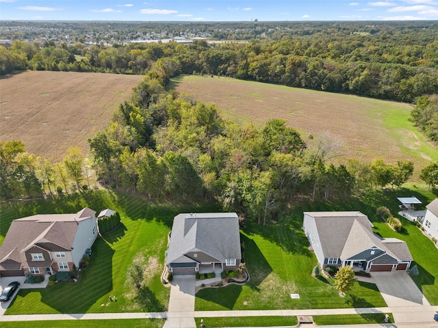 bird's eye view