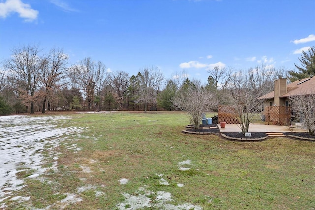 view of yard featuring a patio