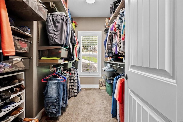 spacious closet with light carpet