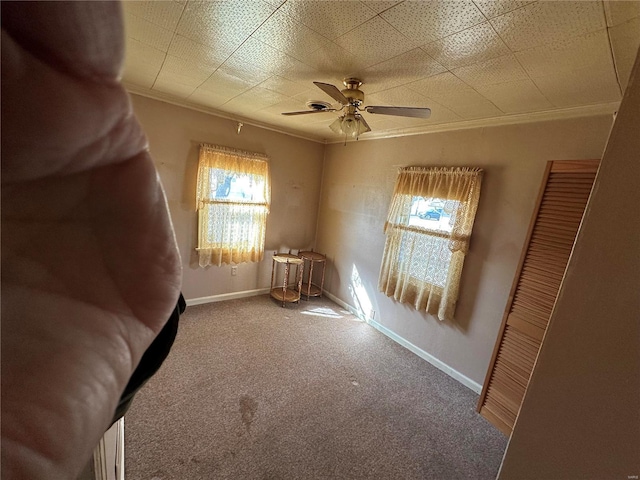 interior space with ornamental molding and ceiling fan