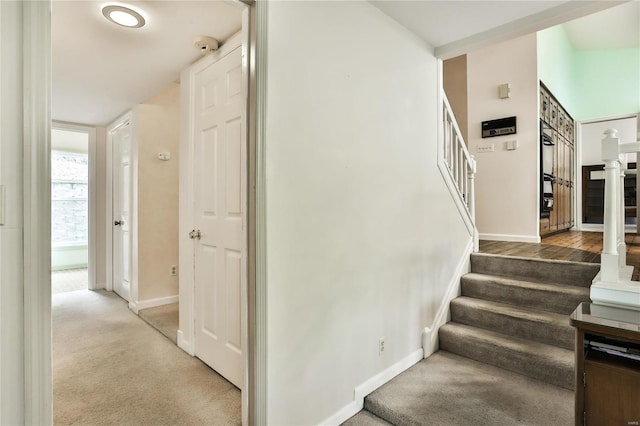 staircase featuring carpet