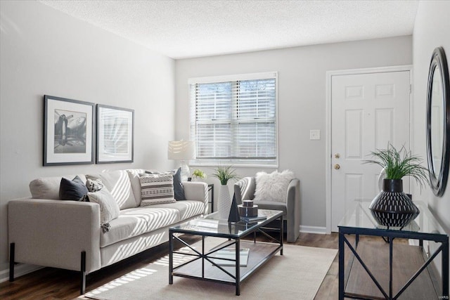 living room featuring hardwood / wood-style floors and a textured ceiling