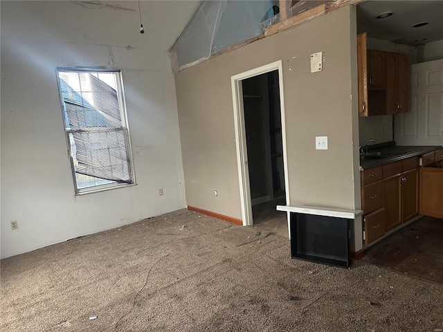 kitchen with dark colored carpet and sink