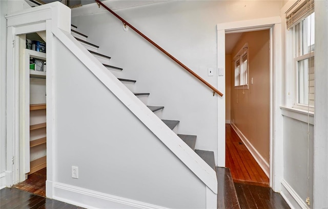 stairs with hardwood / wood-style flooring