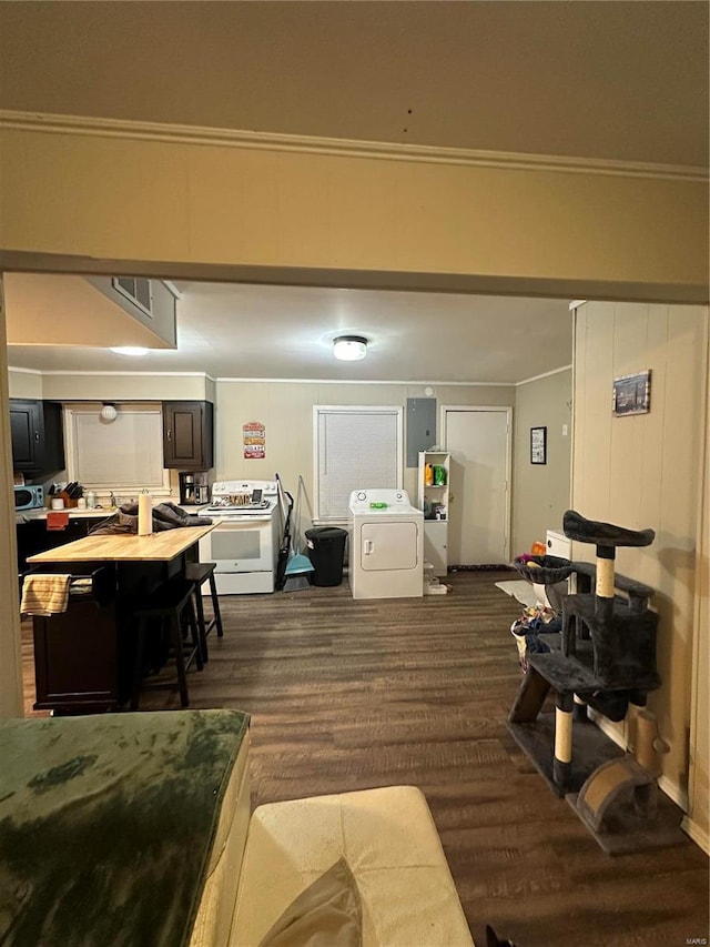 interior space featuring ornamental molding, washer / dryer, dark hardwood / wood-style floors, and electric panel