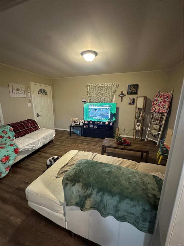 living room featuring dark hardwood / wood-style flooring