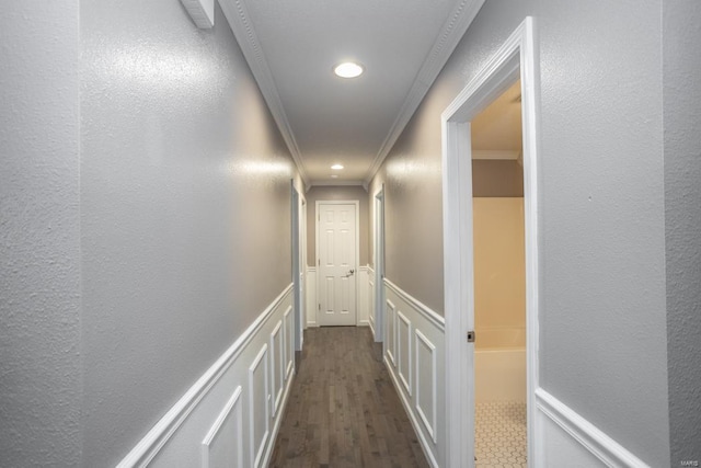 corridor with ornamental molding and dark hardwood / wood-style flooring