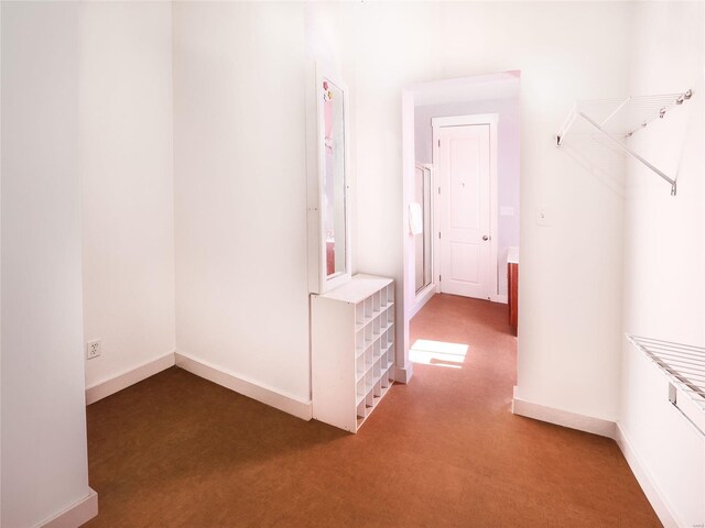 spacious closet featuring carpet