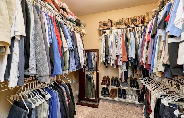 walk in closet with light colored carpet