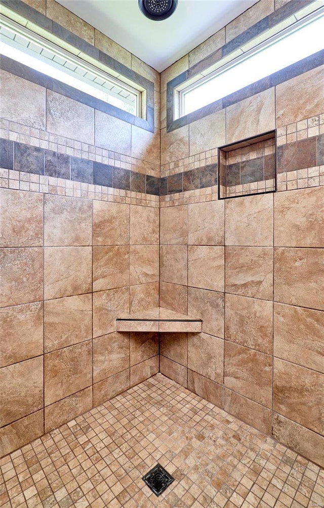 room details with a tile shower