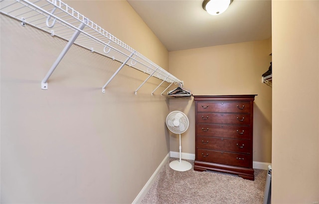 spacious closet with carpet