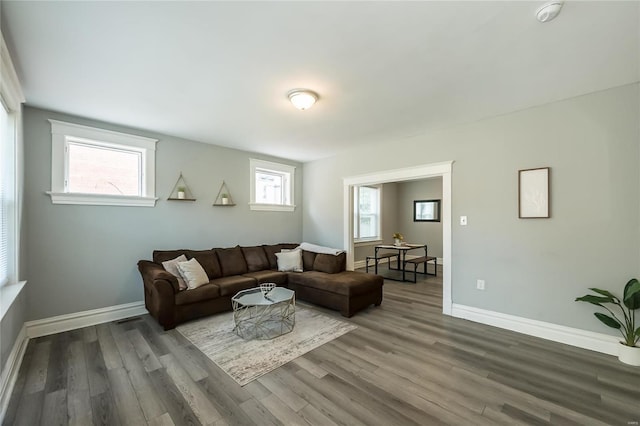 living room with wood-type flooring