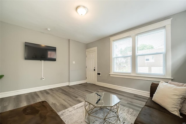 living room with wood-type flooring