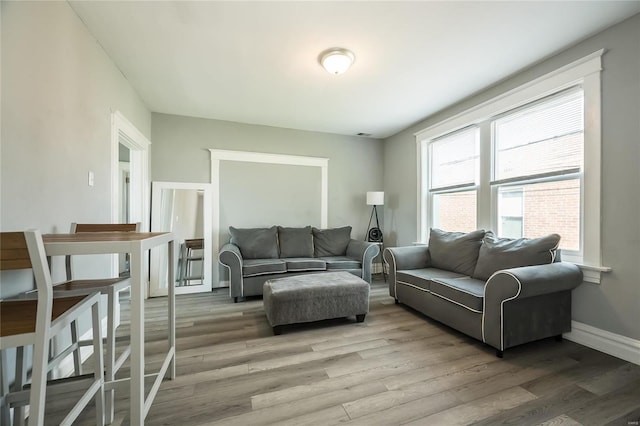 living room with hardwood / wood-style floors