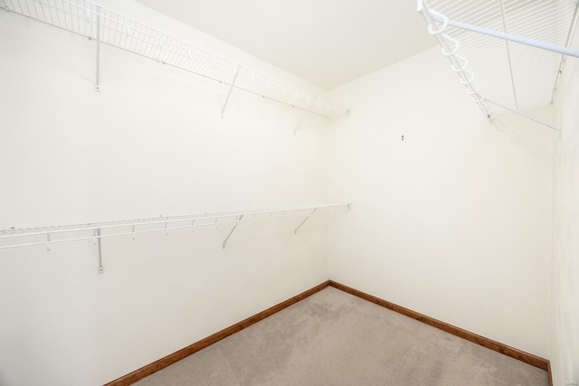 walk in closet featuring light colored carpet