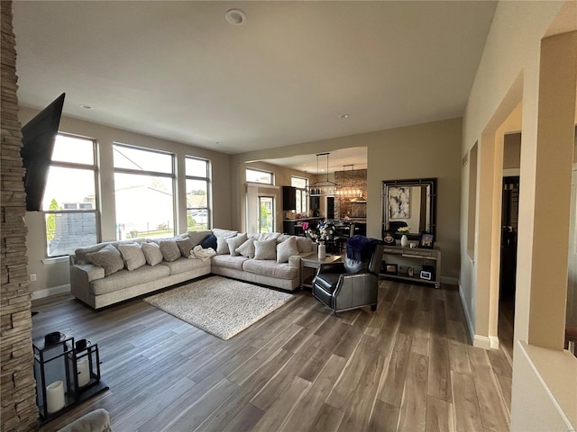 living room with hardwood / wood-style flooring and a chandelier