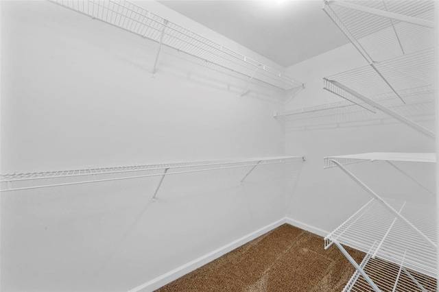 walk in closet with dark carpet