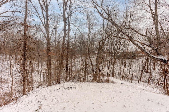 view of snow covered land