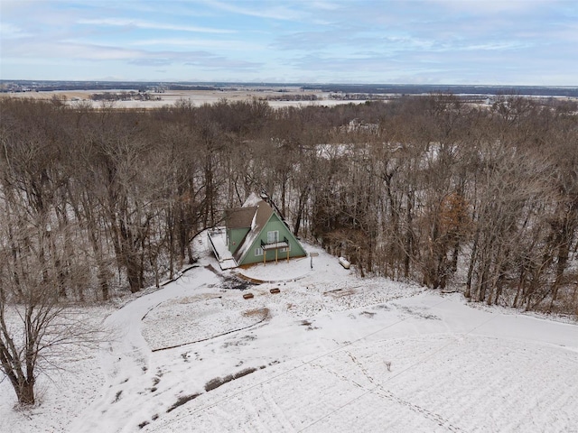 view of snowy aerial view