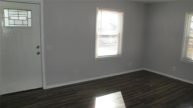 foyer entrance with dark wood-type flooring