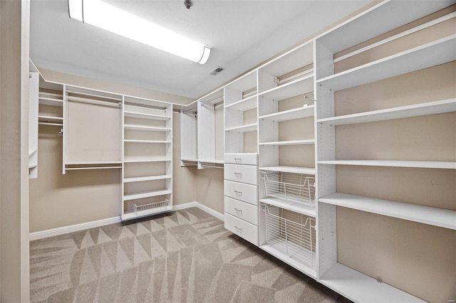 spacious closet with light colored carpet