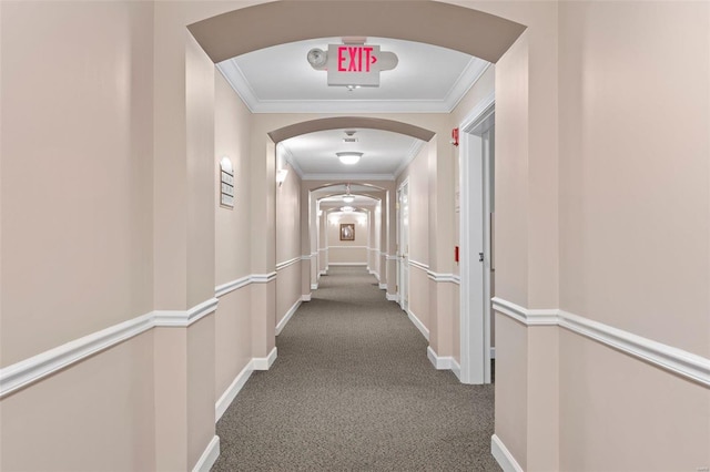 hallway featuring ornamental molding and carpet