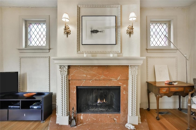 room details featuring a fireplace and wood finished floors