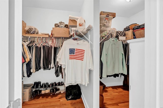 spacious closet featuring wood-type flooring