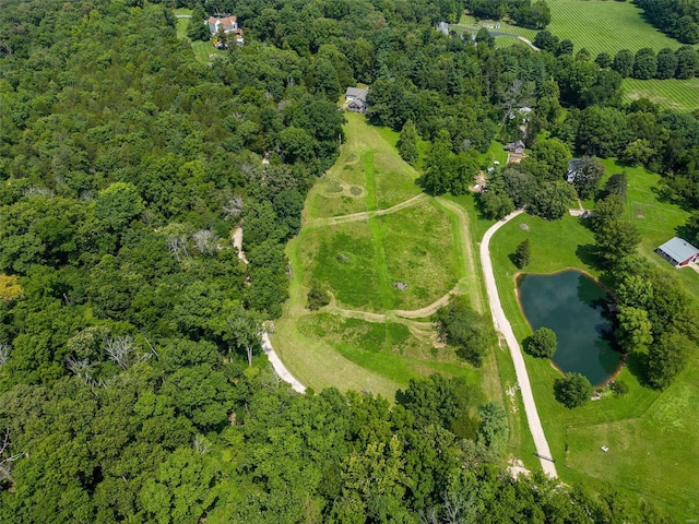 bird's eye view featuring a water view and a rural view