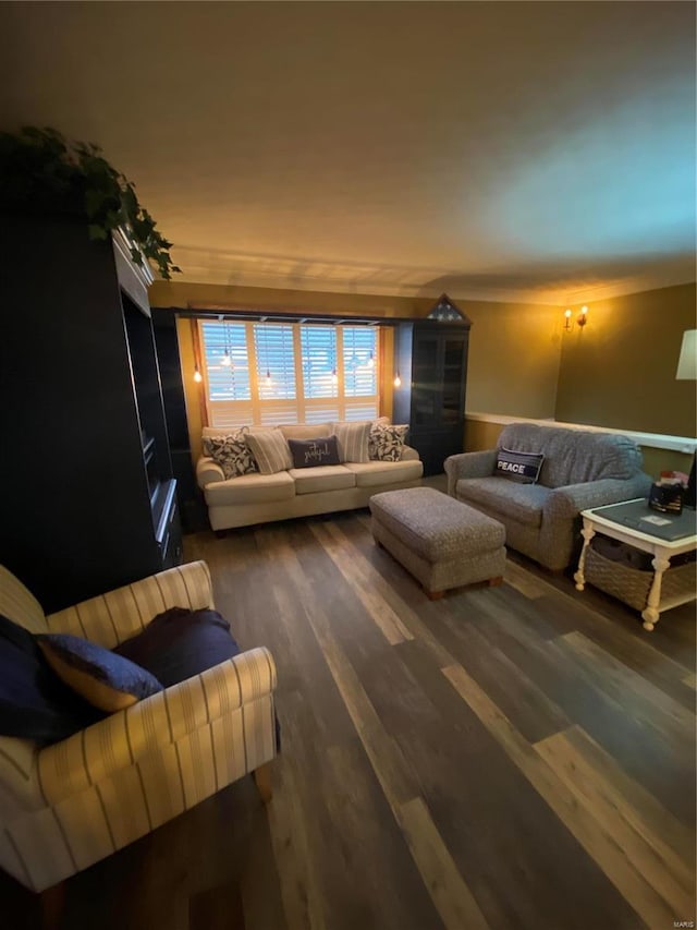 living room with dark hardwood / wood-style flooring