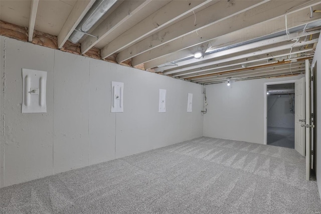 basement featuring carpet floors