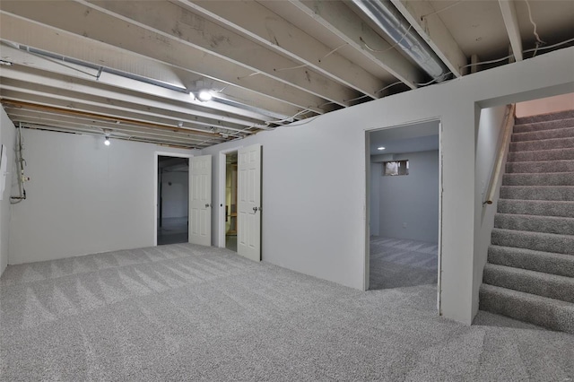 basement featuring carpet