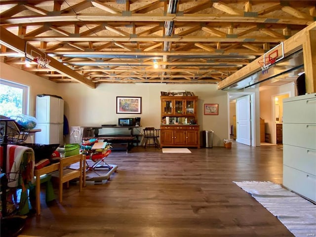 basement featuring dark hardwood / wood-style floors