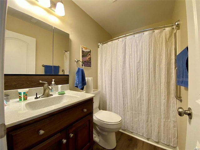 bathroom featuring vanity, hardwood / wood-style floors, and toilet