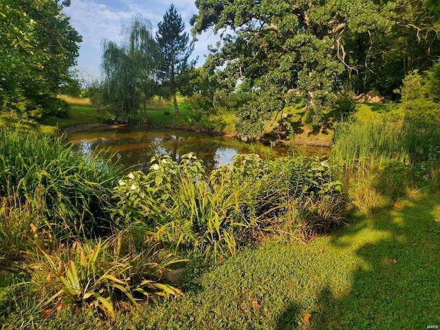 view of nature featuring a water view