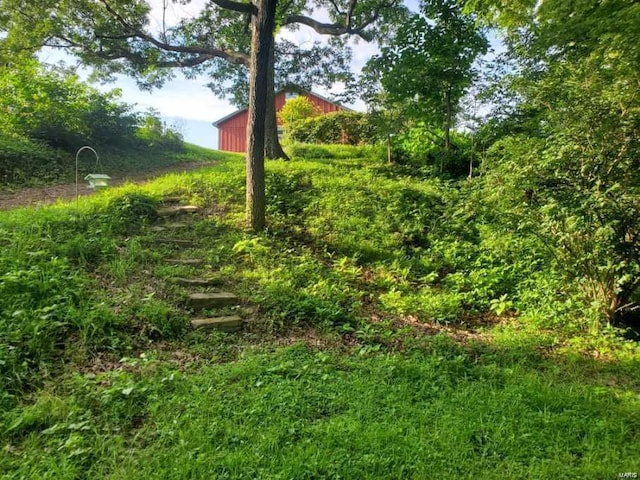 view of local wilderness