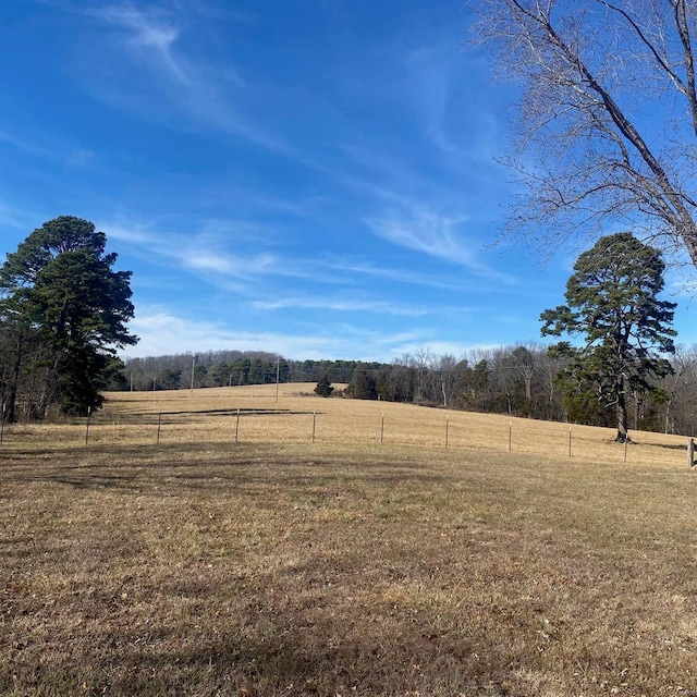 view of yard featuring a rural view