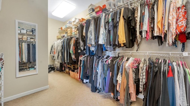 walk in closet featuring carpet floors