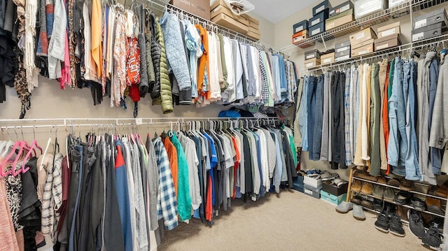 walk in closet with carpet flooring