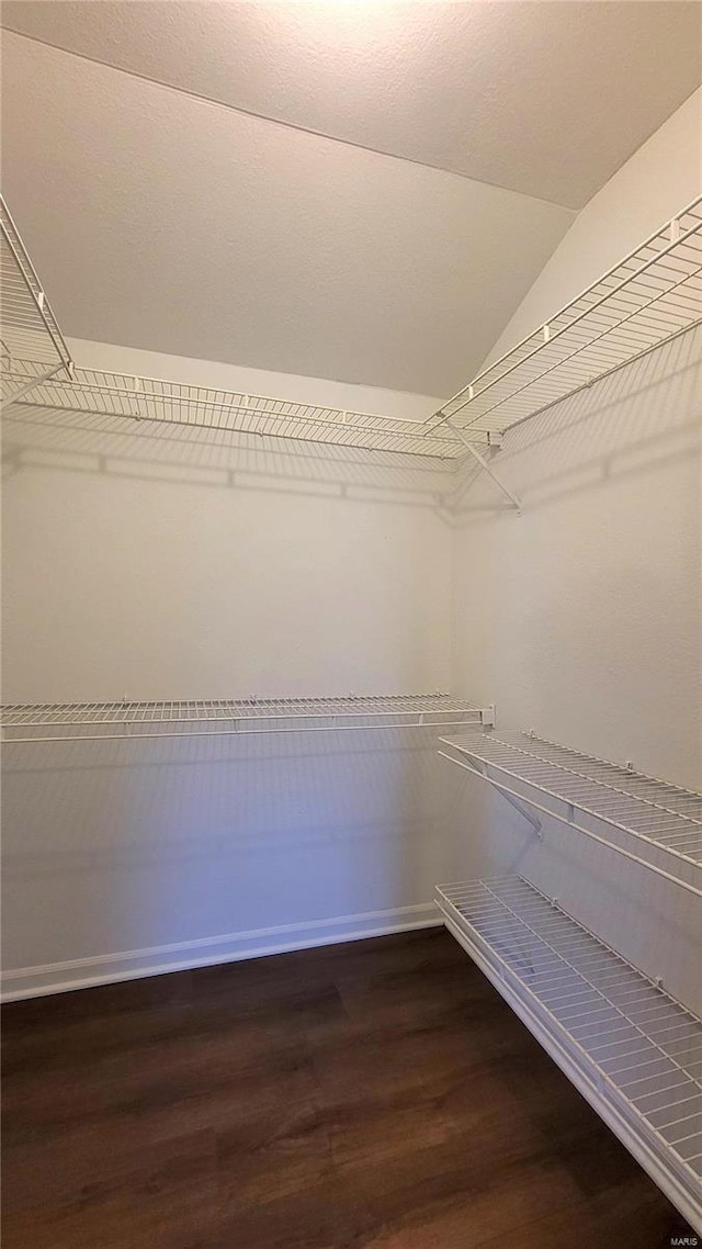 walk in closet with lofted ceiling and hardwood / wood-style flooring