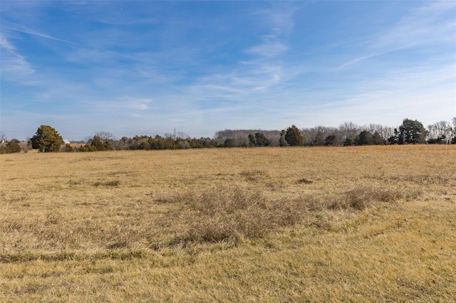 view of local wilderness featuring a rural view