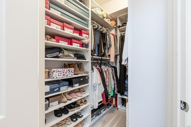 walk in closet with light carpet