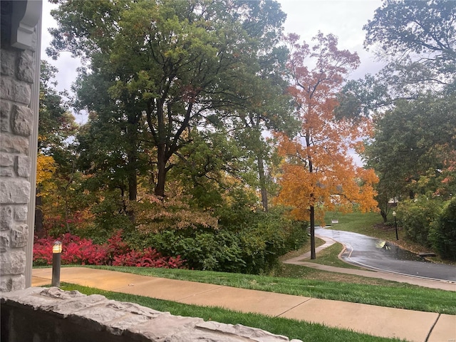 surrounding community featuring a lawn