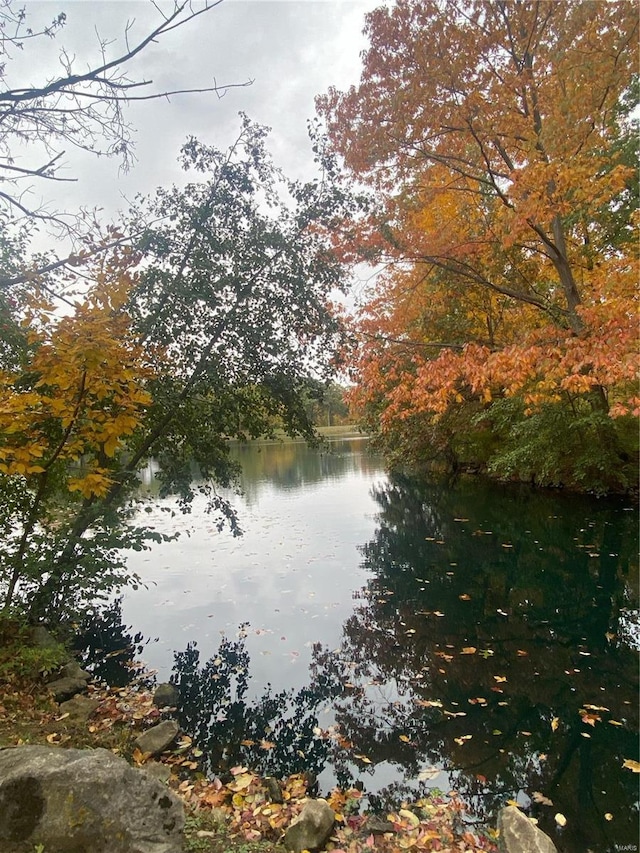 view of water feature